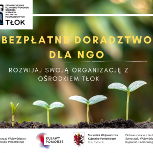 Bezpłatne doradztwo dla NGO